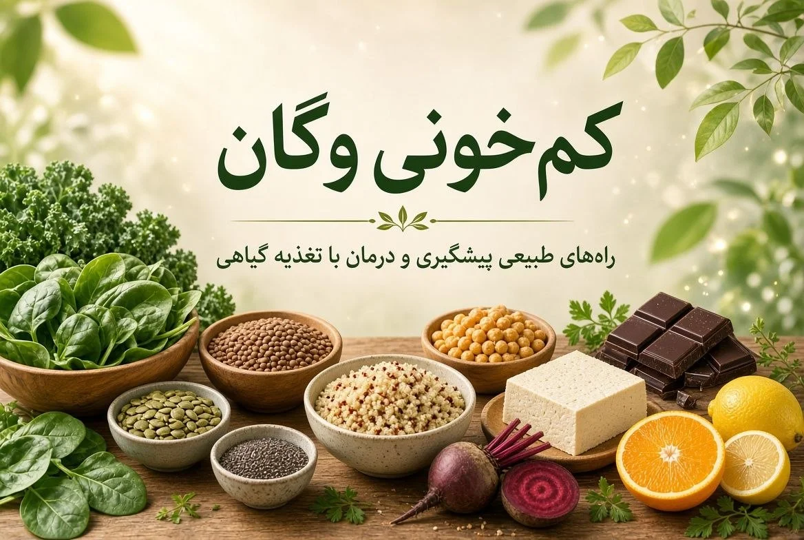 کم خونی وگان