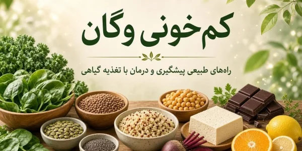 کم خونی وگان